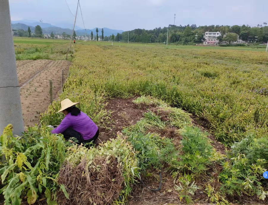 640.png /uploads/20250805/e36c63ea5e4e103e6618005c8a2b9d8a.png