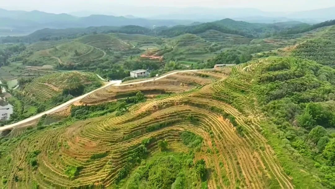 640 (19).jpg /uploads/20250818/0f2fc586793c56b55bfaf89e8a392b6b.jpg