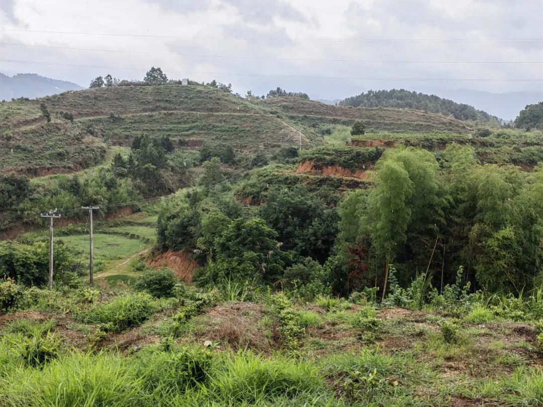 640 (18).jpg /uploads/20250818/200f6fd7f14c6d35dd7af375ddad180d.jpg