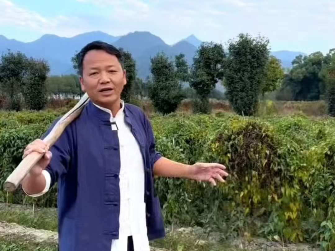 蕲春新农人｜都市精英变网络达人，&ldquo;时珍书记助农&rdquo;暖乡邻