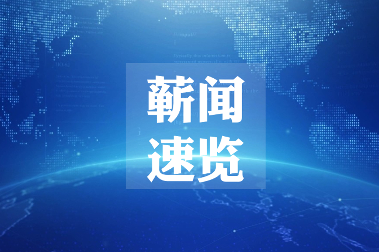 蕲春县向桥乡斌冲村：小油茶铺就共富路